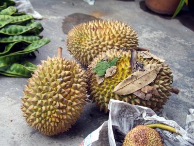Durians in foreground, Buah Petai up left, Cempedak down right