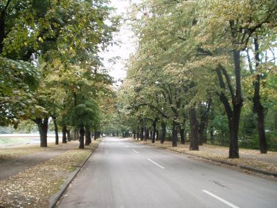 Park out by Novo Sarajevo, which took most of the shelling