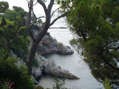 The Dubrovnik coast: Rocks