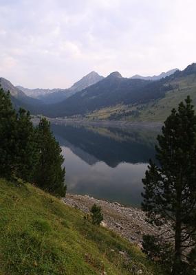 IMG_1038.jpg