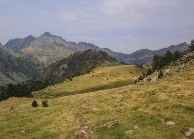 IMG_1141.jpg