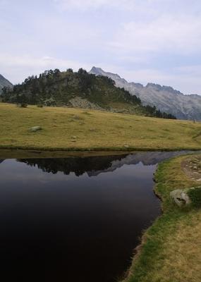 IMG_1149.jpg