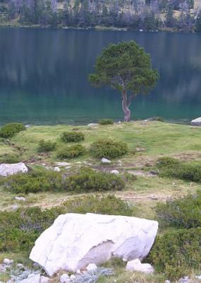 IMG_1160.jpg