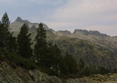 IMG_1164.jpg