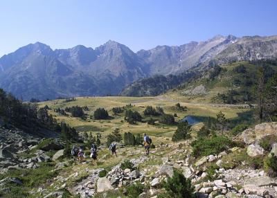 IMG_0871.jpg