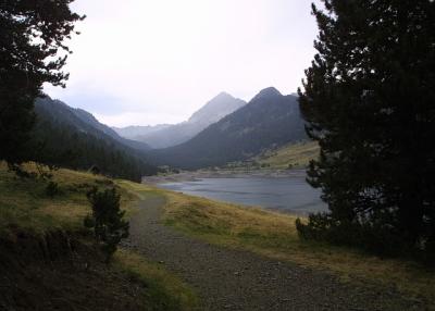 IMG_1009.jpg