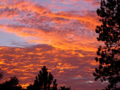 Sunset (Jul 17th)