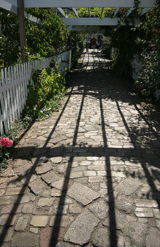 <B>Up the Garden Path</B><BR><FONT size=2>* by Ann Chaikin</font>