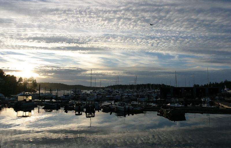 <B>Between Water and Sky</B><BR><FONT size=2>* by Ann Chaikin</font>