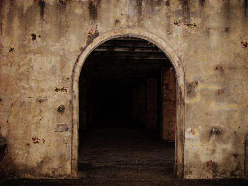 Would  You Dare ? by Jose Garcia