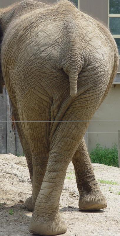 Nice footwork <br> by Klaatu