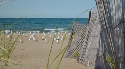 Abandoned Beach by Suave