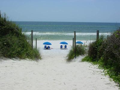 Entrance to the Beach by florg