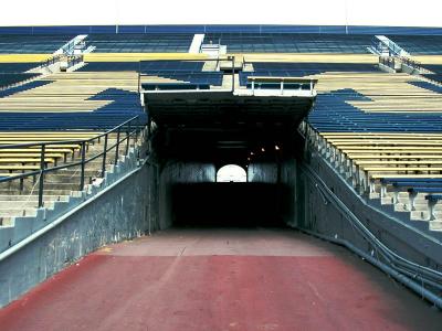 Michigan Stadium by dave v.
