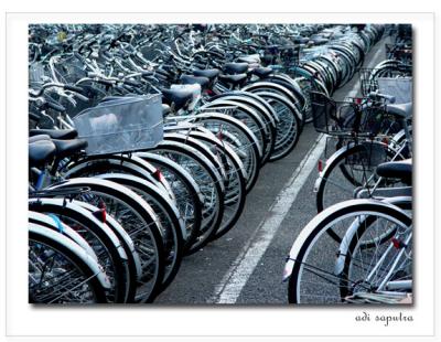 I want to ride my bicycle-STF.jpg<br>by Adi