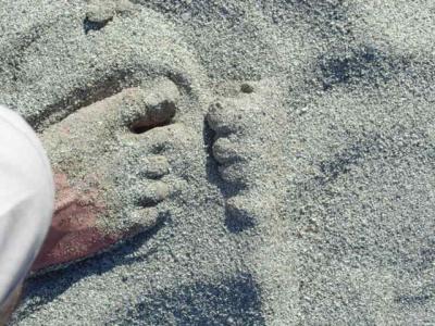  Finding Toes in the sand by Mark W