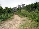 <B>...to the beach</B>*<BR><FONT size=2>by Phil U.</FONT>
