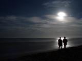 <B>...to the moon</B>*<BR><FONT size=2>by Phil U.</FONT>