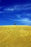 <b>10th-tie</b><br><b>Lost</b><br><font size=1>by Klaus Wiese</font>