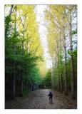 <b> Go ! </b> <br> by JLN