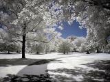  Into The IR World.jpg<br><font size=1>by Joseph Levy</font>