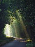 <b>4th</b><br>Mornings Glory by Eric Hatch