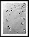 Foot Prints in Sand<br>by Bhupesh Patel