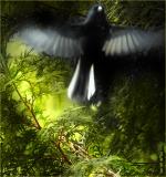 <b>1st Place Winner [tie]</b><br>TheMessenger <BR> by irish_eye