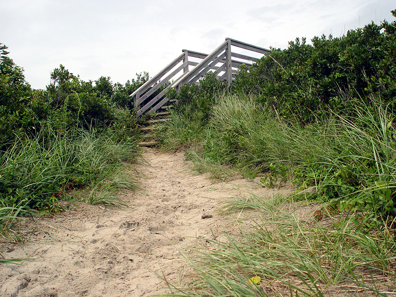 <B>...to the beach</B>*<BR><FONT size=2>by Phil U.</FONT>