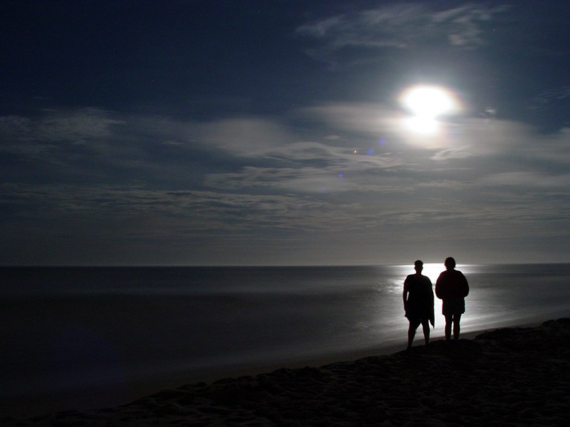 <B>...to the moon</B>*<BR><FONT size=2>by Phil U.</FONT>