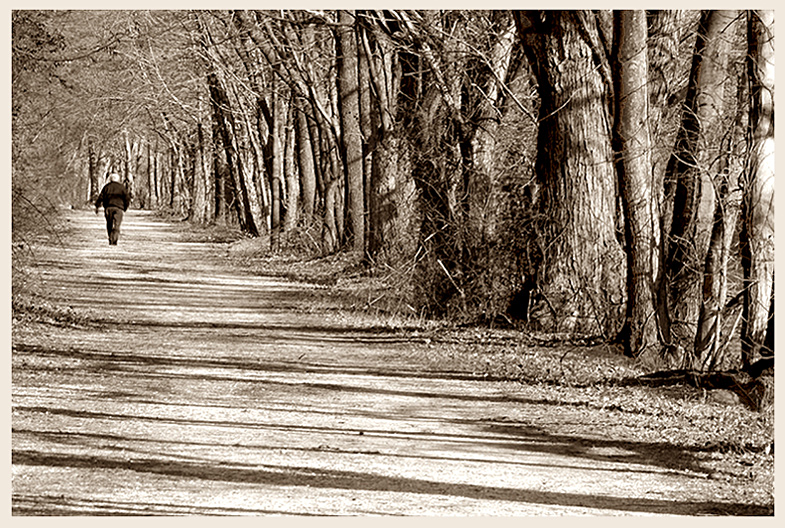 solitude by Ura SAMONOV (2003)*