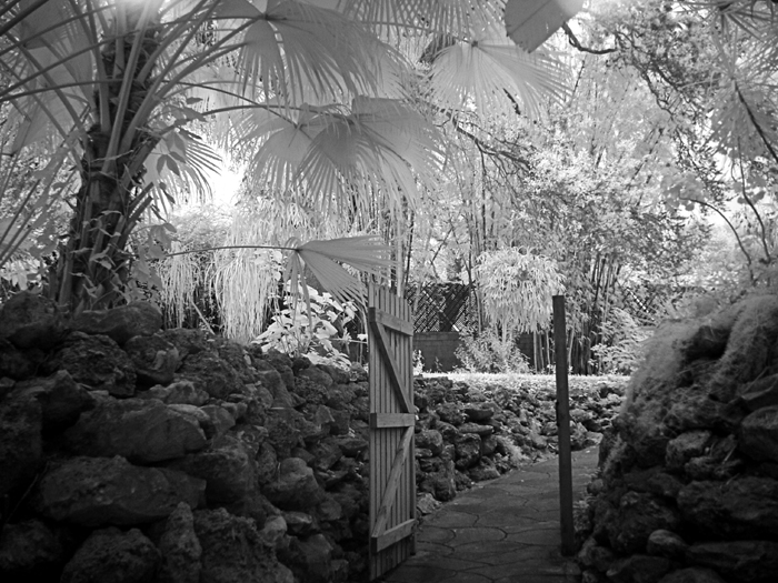 Path to the Light  by Lisafx