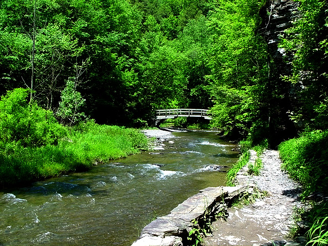 <B>Treman Gorge</B><BR><FONT size=2>by Bill Borne</FONT>