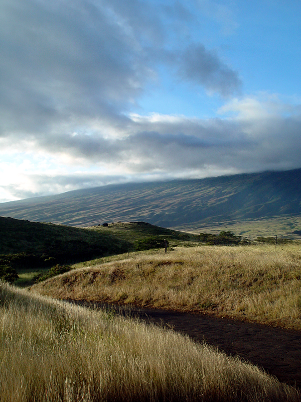 Road to Hana by Camera Slug
