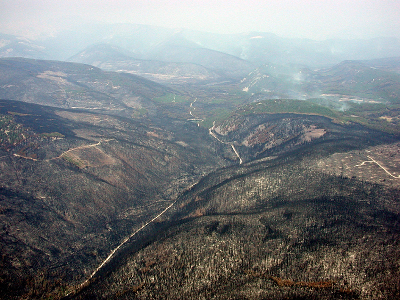 Following the Fires Path * <br> by mlynn