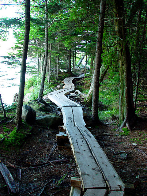 <b>The Way Back<br><font size=1>by Michael Buckman