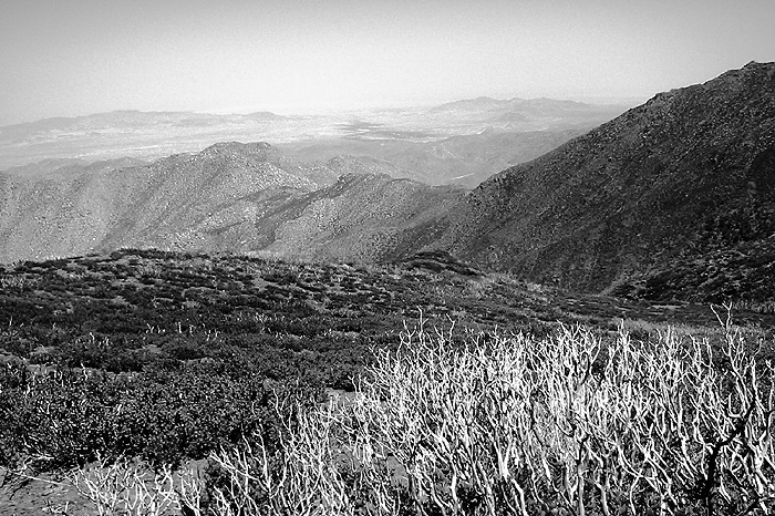 <b>Desert Expanse</b><br>(Right) by JT *