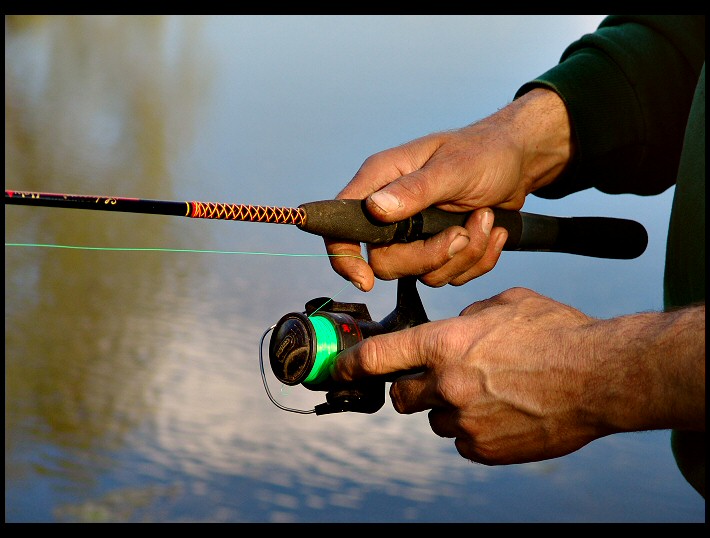 <B>*These Hands Are Made For Fishin</B><br>by Tiny Green Alien