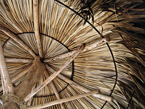 the palapa
