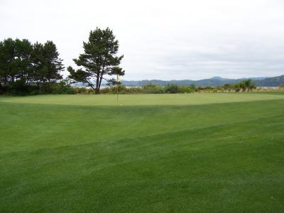 Salishan - Somewhere on the back nine