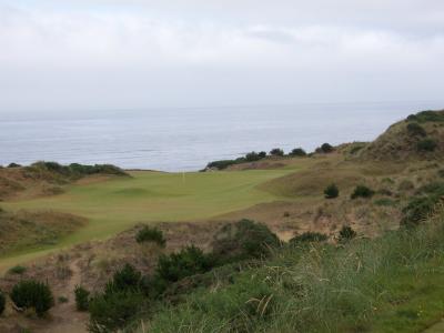 Pacific Dunes - Green by the ocean