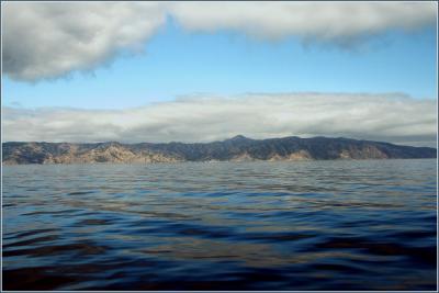 Santa Catalina Island ...looking for summer