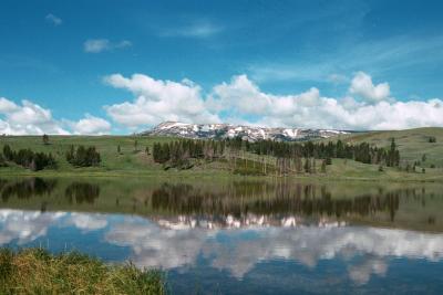 YellowStone 2004 Summer