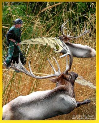 Grass Ceremony