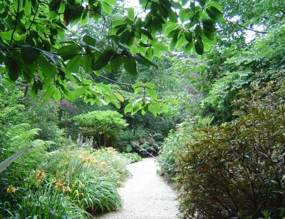 path to woodland