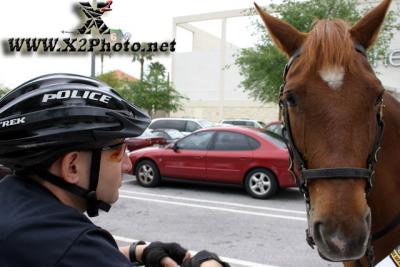 u32/thpproductions/medium/41167434.mountedbikepatrol174copy.jpg