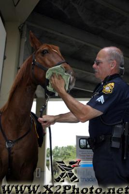 u32/thpproductions/medium/41167446.mountedbikepatrol409copy.jpg