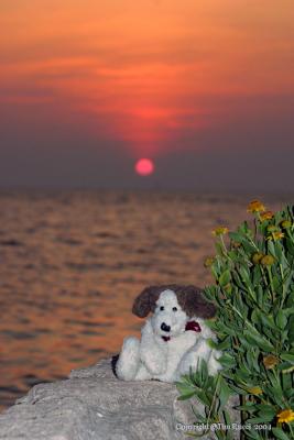 Boyd, and Cape Hatteras sunset