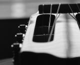 Flamenco Guitar BW1.jpg