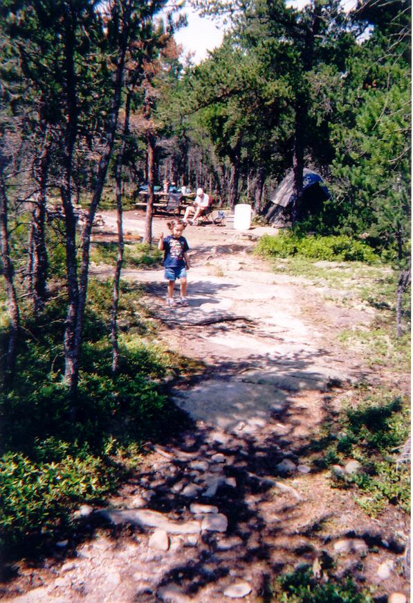 Our Campsite at Ocean Wood